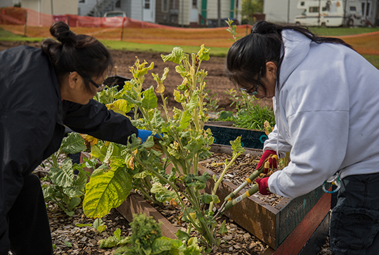 Volunteers prune garden