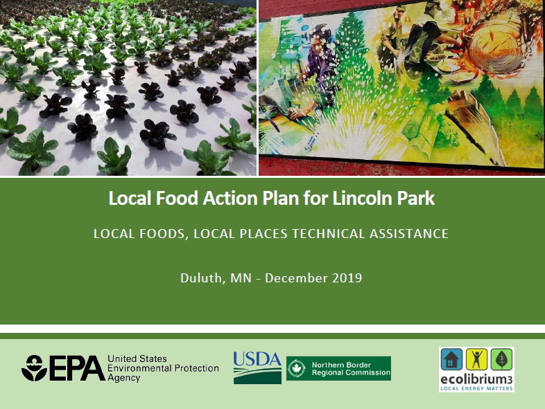 Local Food Action Plan for Lincoln Park report graphic