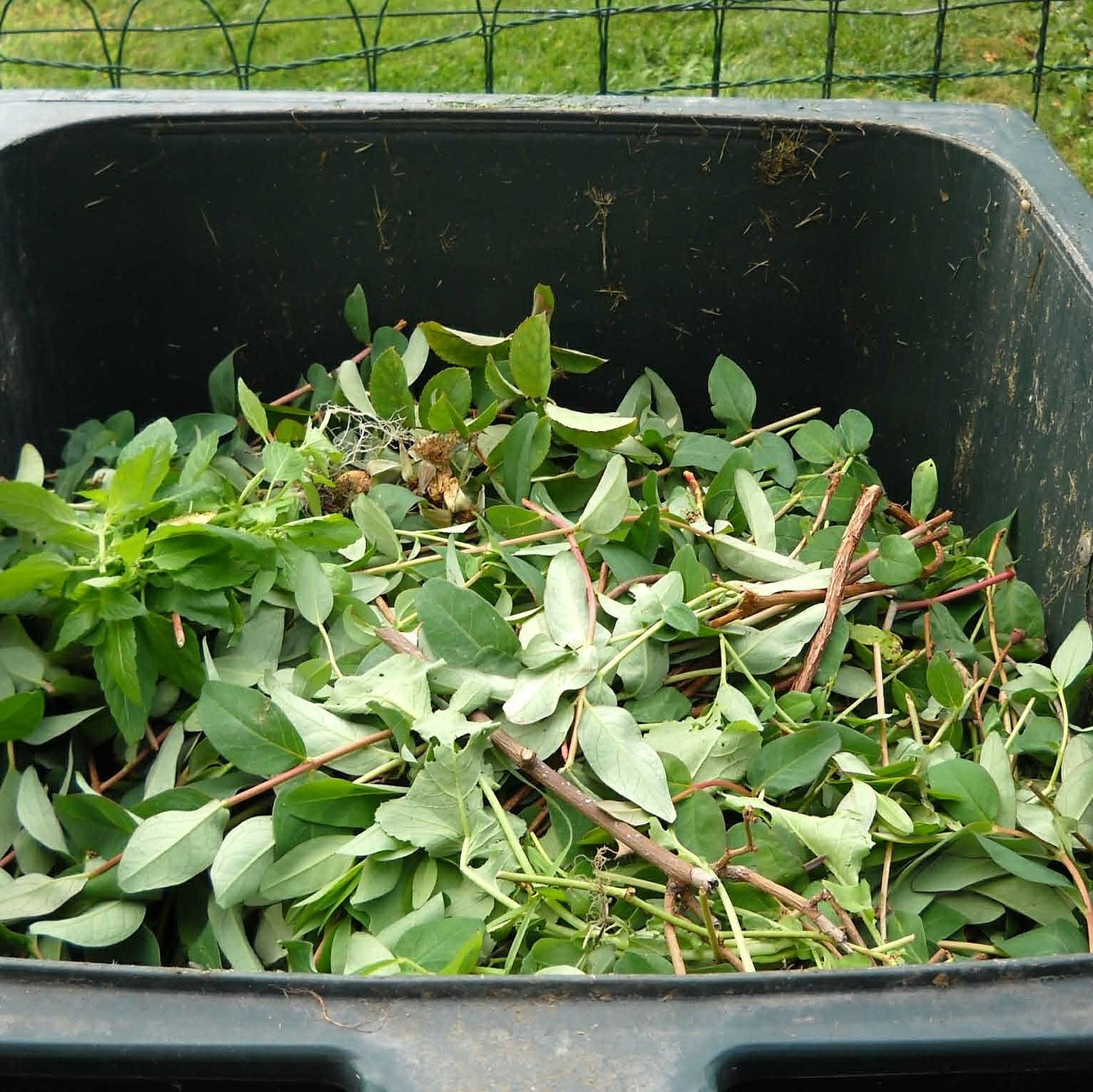 Re-Envision Our Waste System