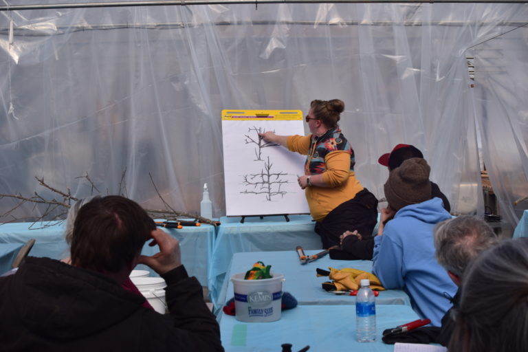 A woman at the front of a room points at a drawing of tree branches. People seated at a table facing away from the camera, listen to her explanation.