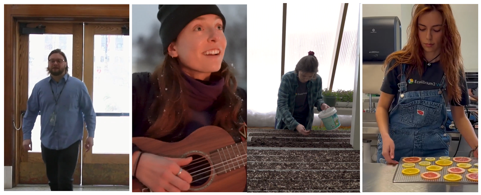 Four side by side images show young people working in the VISTA program. A man walks into City Hall, a woman smiles while playing guitar, a woman scatters soil over trays, and a woman lays out orange slices for dehydrating.