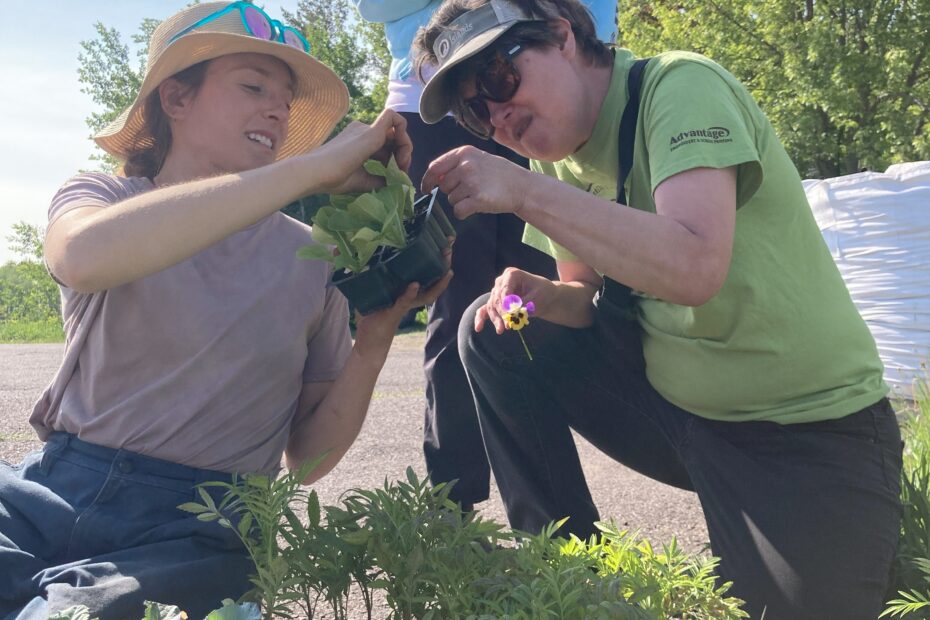 Examining leaves on plant.