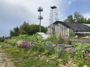 View of a high tunnel and flower bed at the farm. The sky is blue and everything is in full bloom!