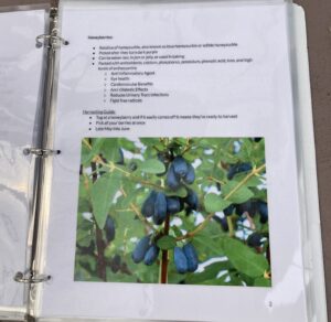 3-ring binder open to a page about honeyberries. Page includes image of berries growing, uses, and other information.