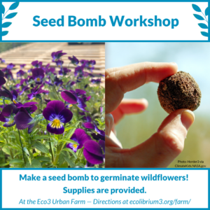 Two photos: purple flowers growing, and a hand holding up a small ball of dirt. Across the top, "Seed Bomb Workshop." Across the bottom, "Make a seed bomb to germinate wildflowers! Supplies are provided. At the Ecolibrium3 Farm- Directions at ecolibrium3.org/farm/"