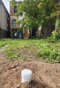 Finished sewer cap poking out of Legacy House backyard.