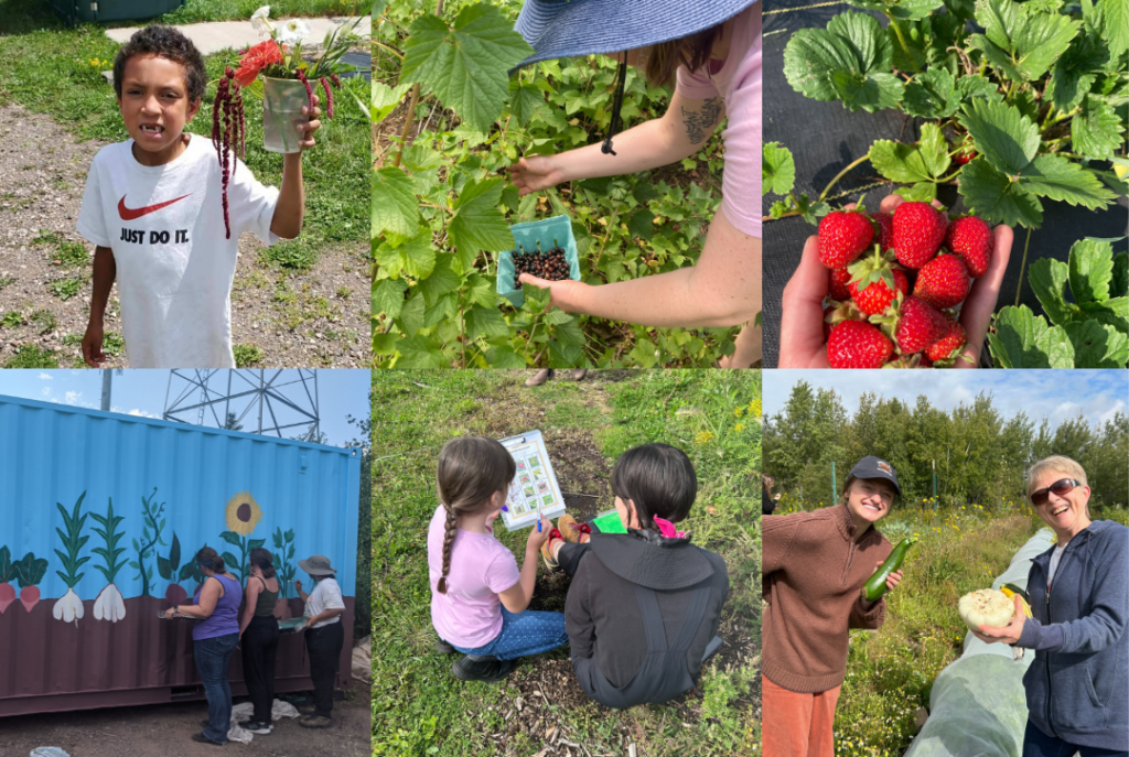 Grid of photos showing people at the farm. From top right to bottom left: Boy holds up bouquet of flowers; Person picks blackcurrants; Handful of strawberries; People paint mural of flowers onto the storage pod; Person helps a child with a bingo game; Two people smile and pose with large squash.