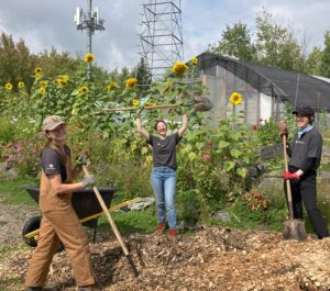 Three people smile while shoveling wood chips at the farm. One person is lifting her shovel triumphantly above her head.