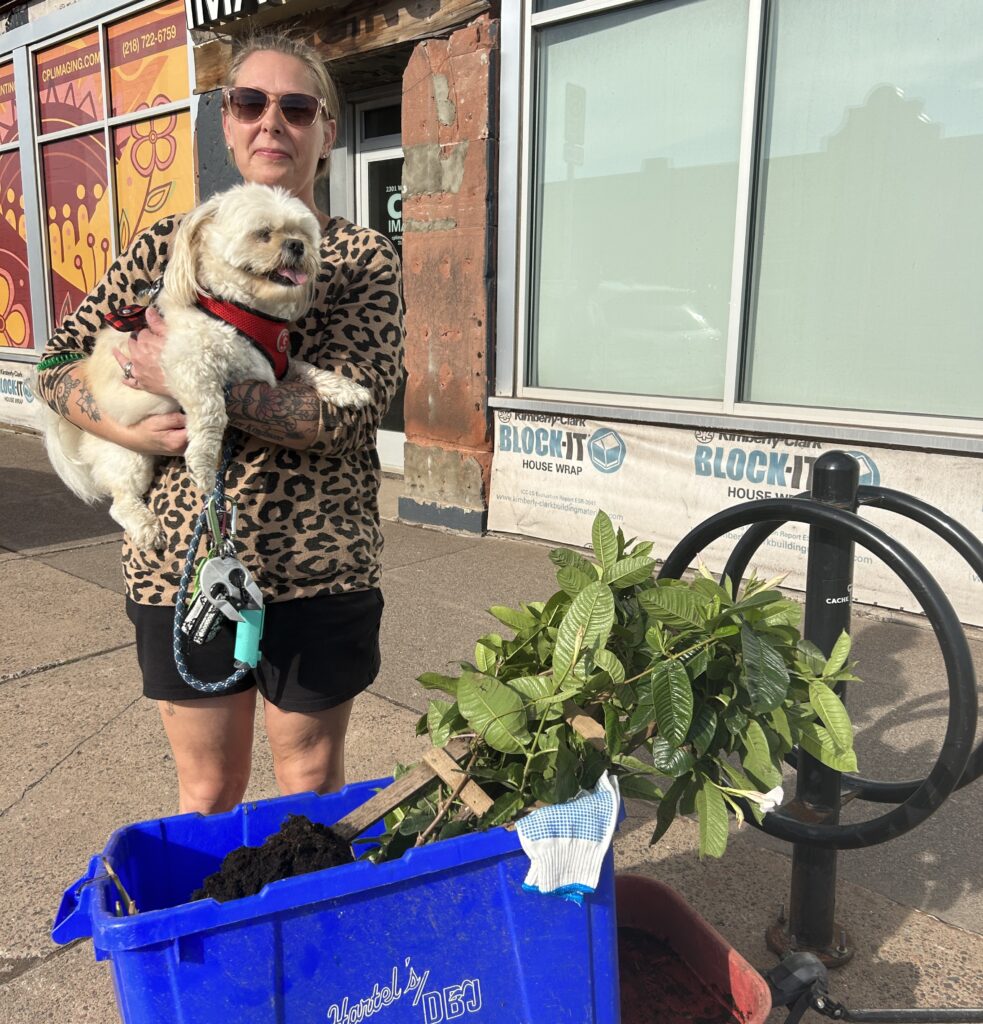 A woman stands on a sidewalk on Superior Street. In a wagon in front of her is a plant. She is holding a very adorable small fluffy dog.