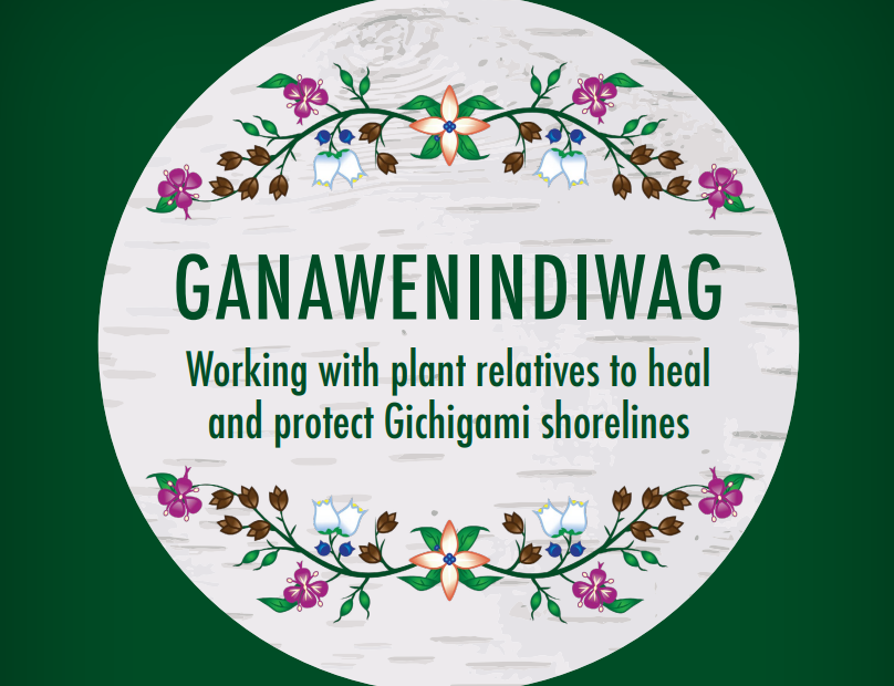Circular logo with birch texture and flowers, reads "Ganawenindiwag, working with plant relatives to heal and protect Gichigami shorelines"