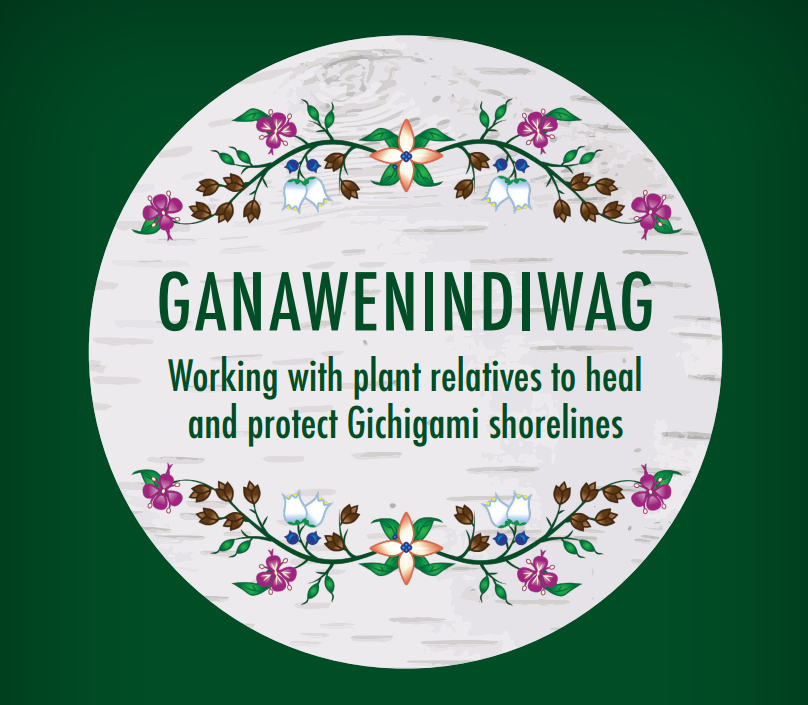 Circular logo with birch texture and flowers, reads "Ganawenindiwag, working with plant relatives to heal and protect Gichigami shorelines"