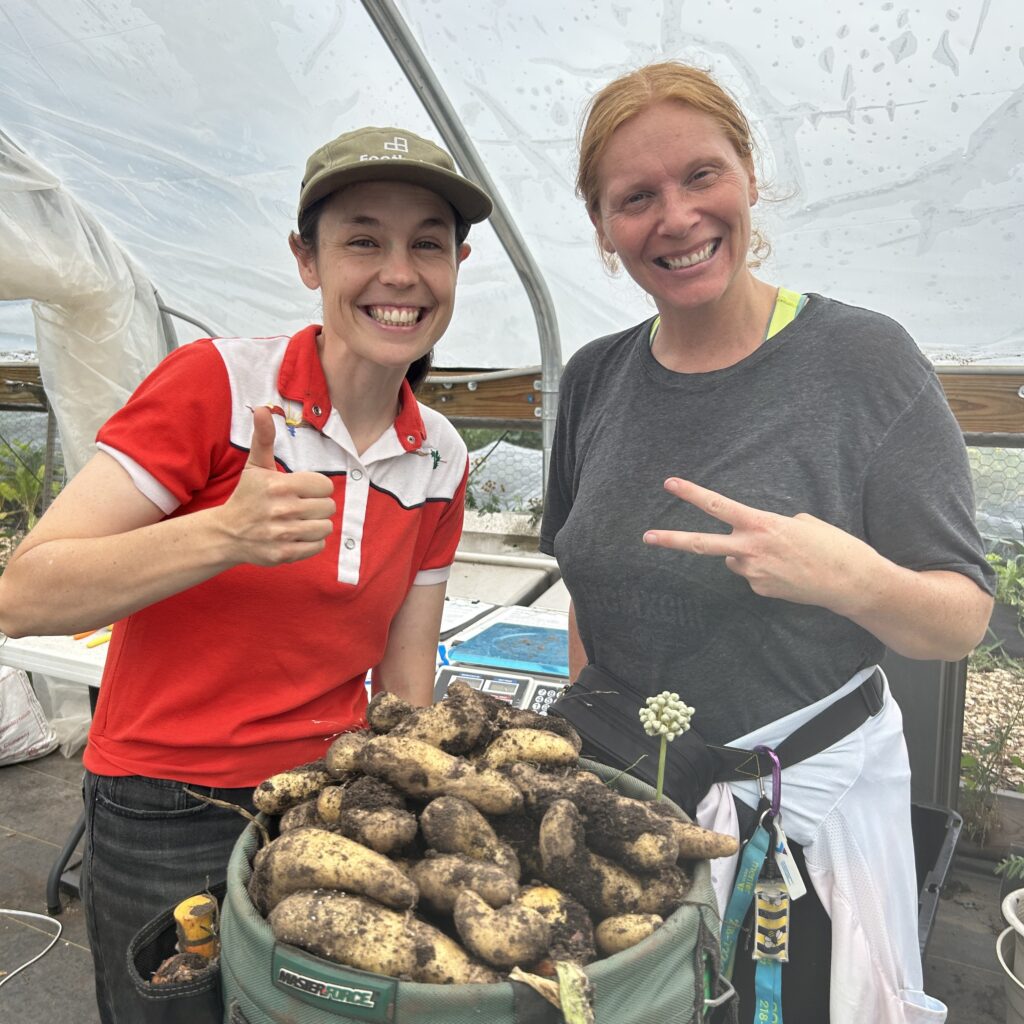Two people give "thumbs up" and "peace" signs above a big bucket of freshly harvested potatoes.