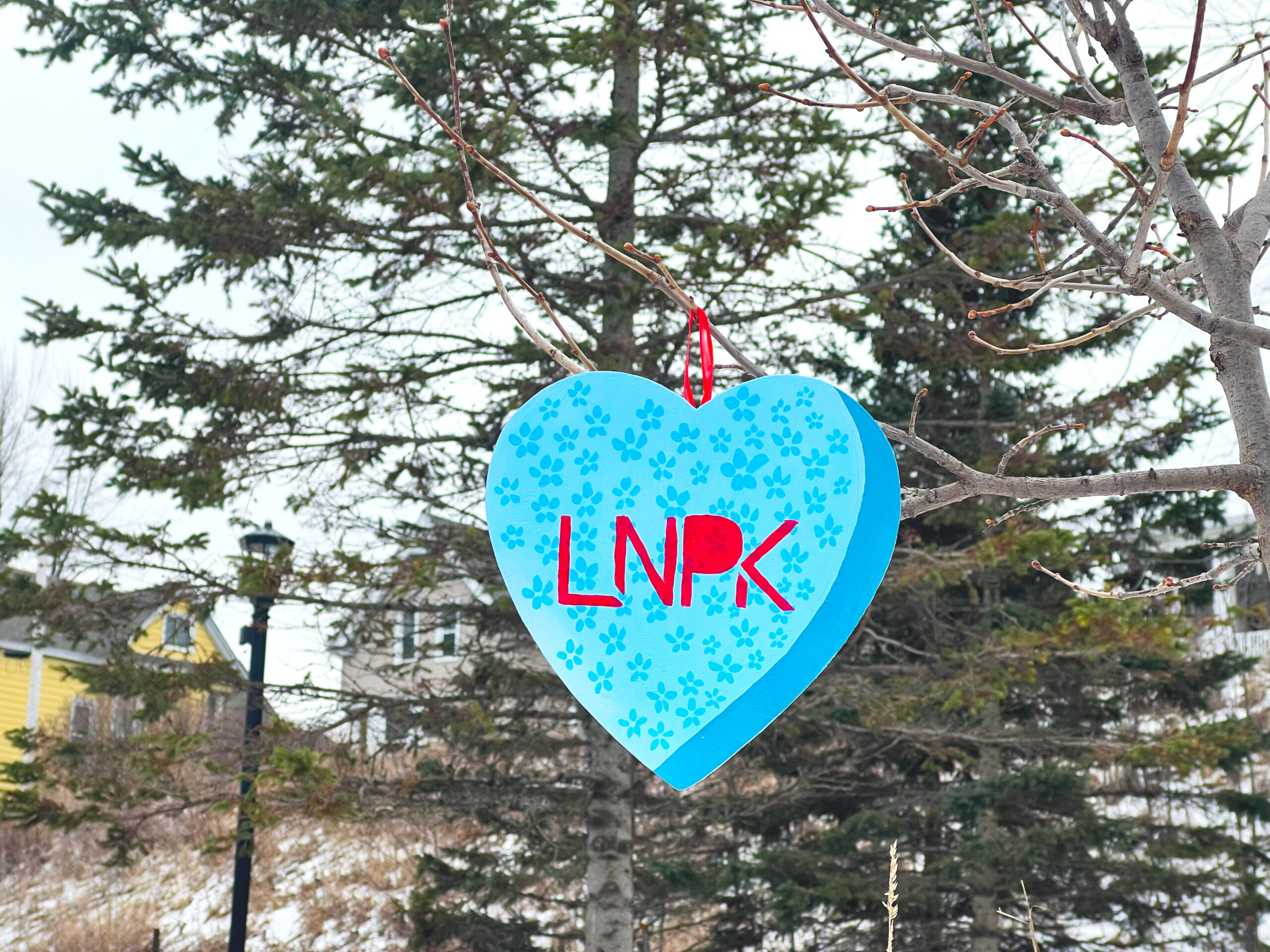 Light blue heart with dark blue flowers and "LNPK" in red hangs on an evergreen tree.