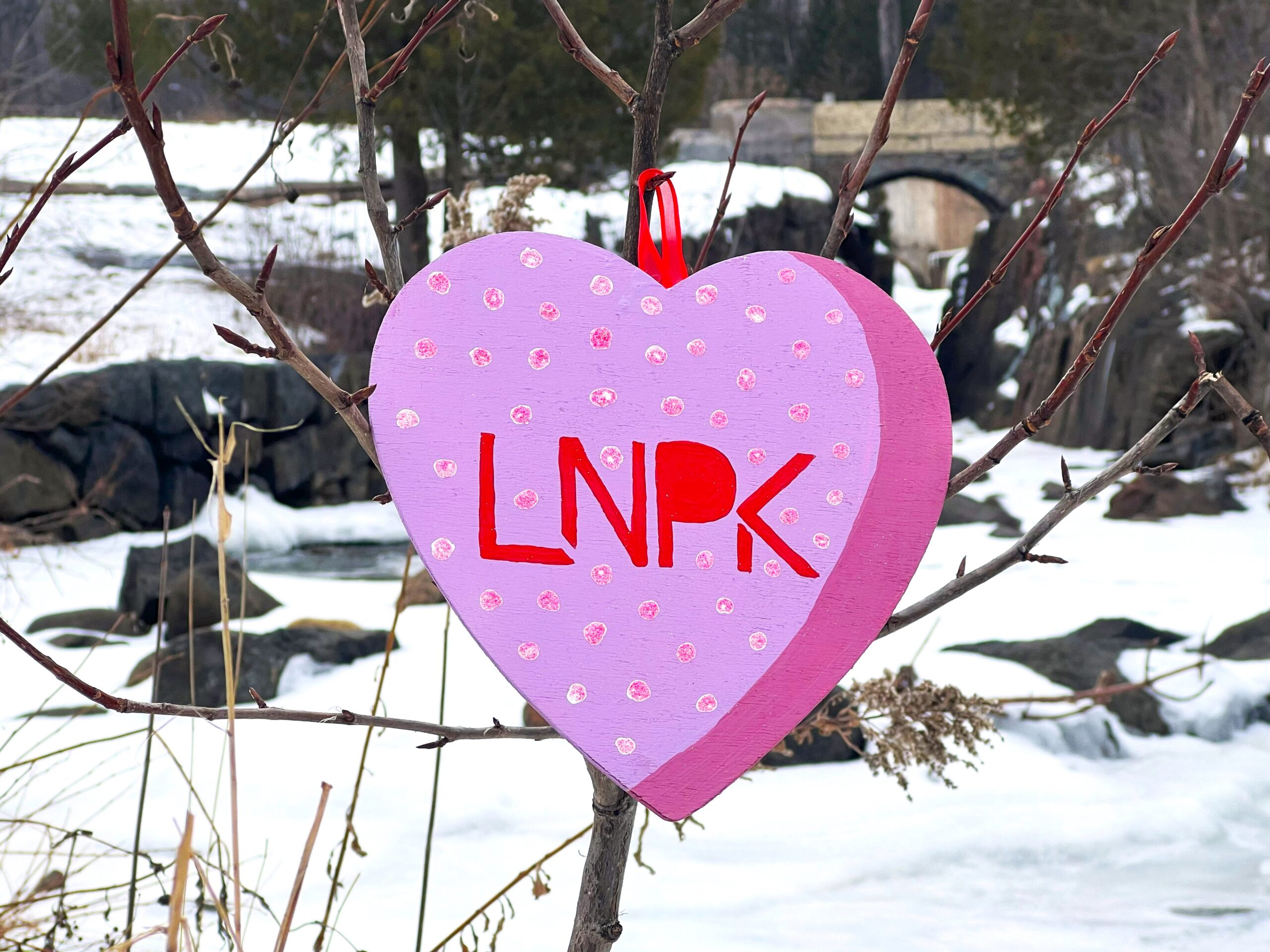 Bright pink heart with sparkling polka dots and "LNPK" in red hangs on a tree in front of a frozen creek.