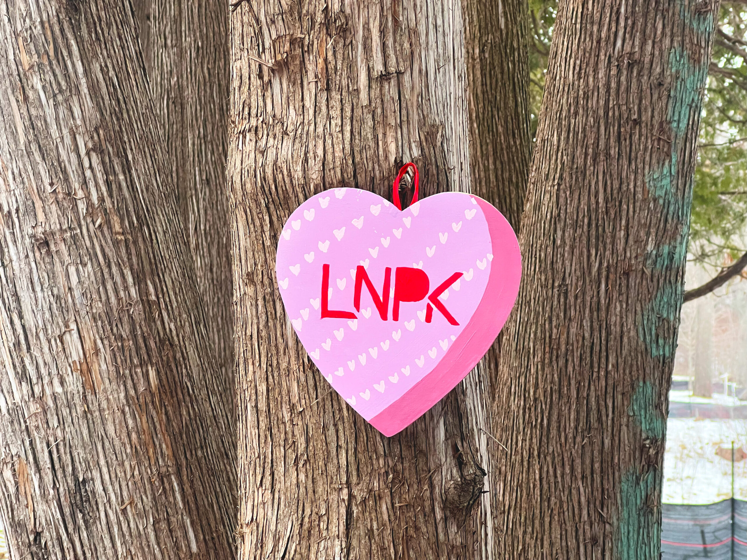 Pink heart with rows of white polka dots and "LNPK" in red hangs on a tree in the sun.