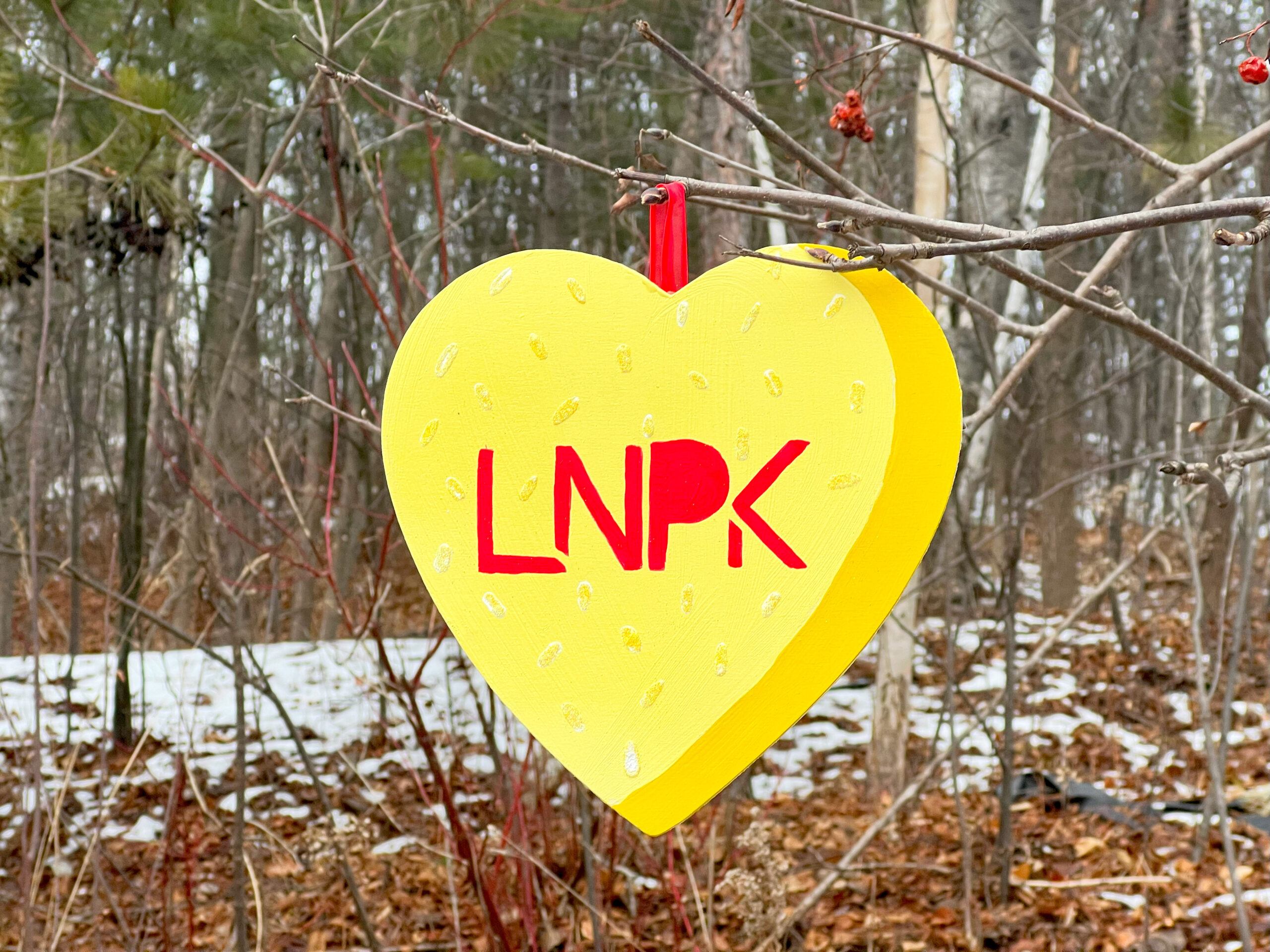 Yellow heart with "LNPK" in red hangs on a tree in front of a frozen creek.