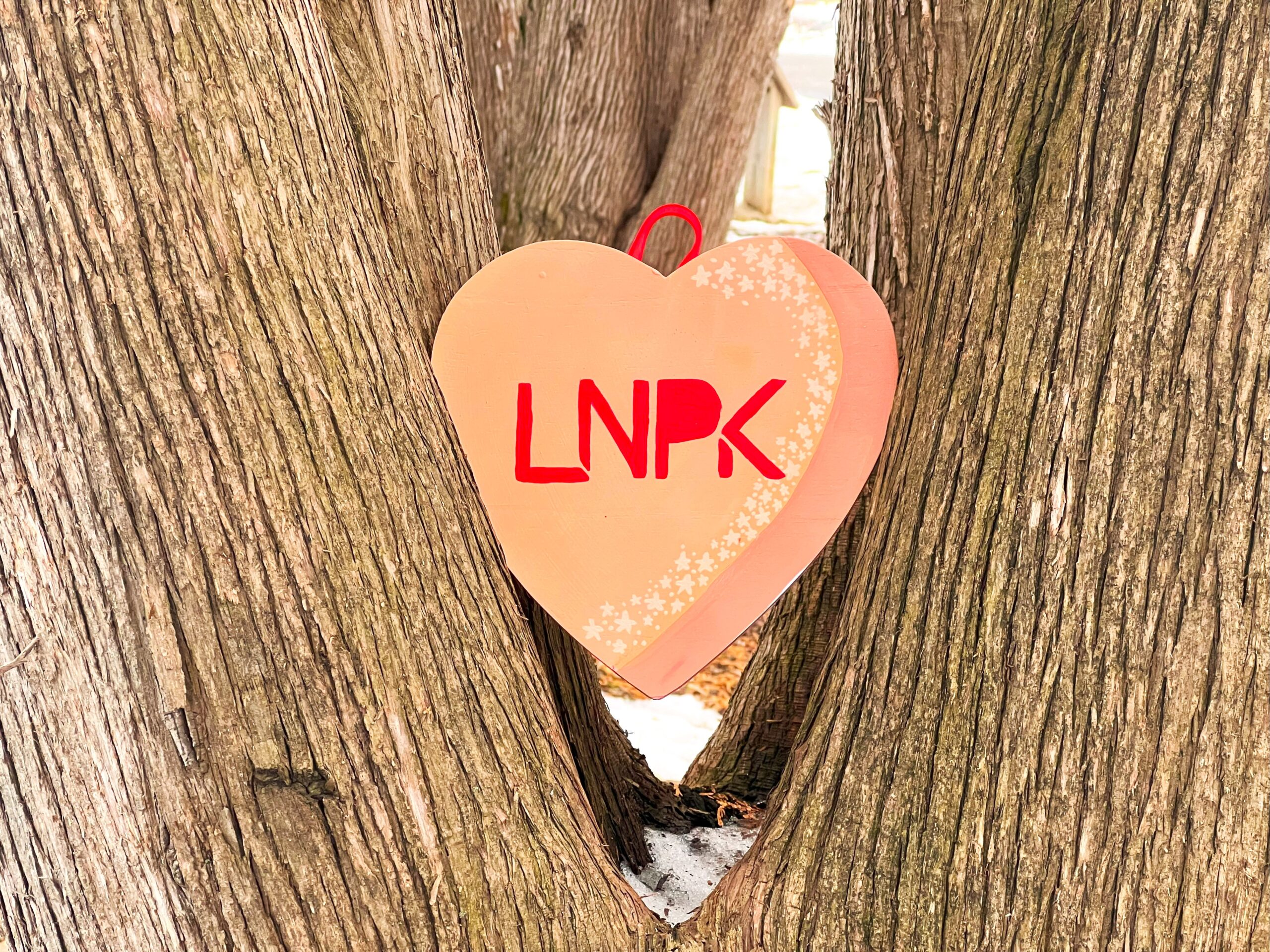 Light orange heart with "LNPK" in red sits between the large branches of a tree.
