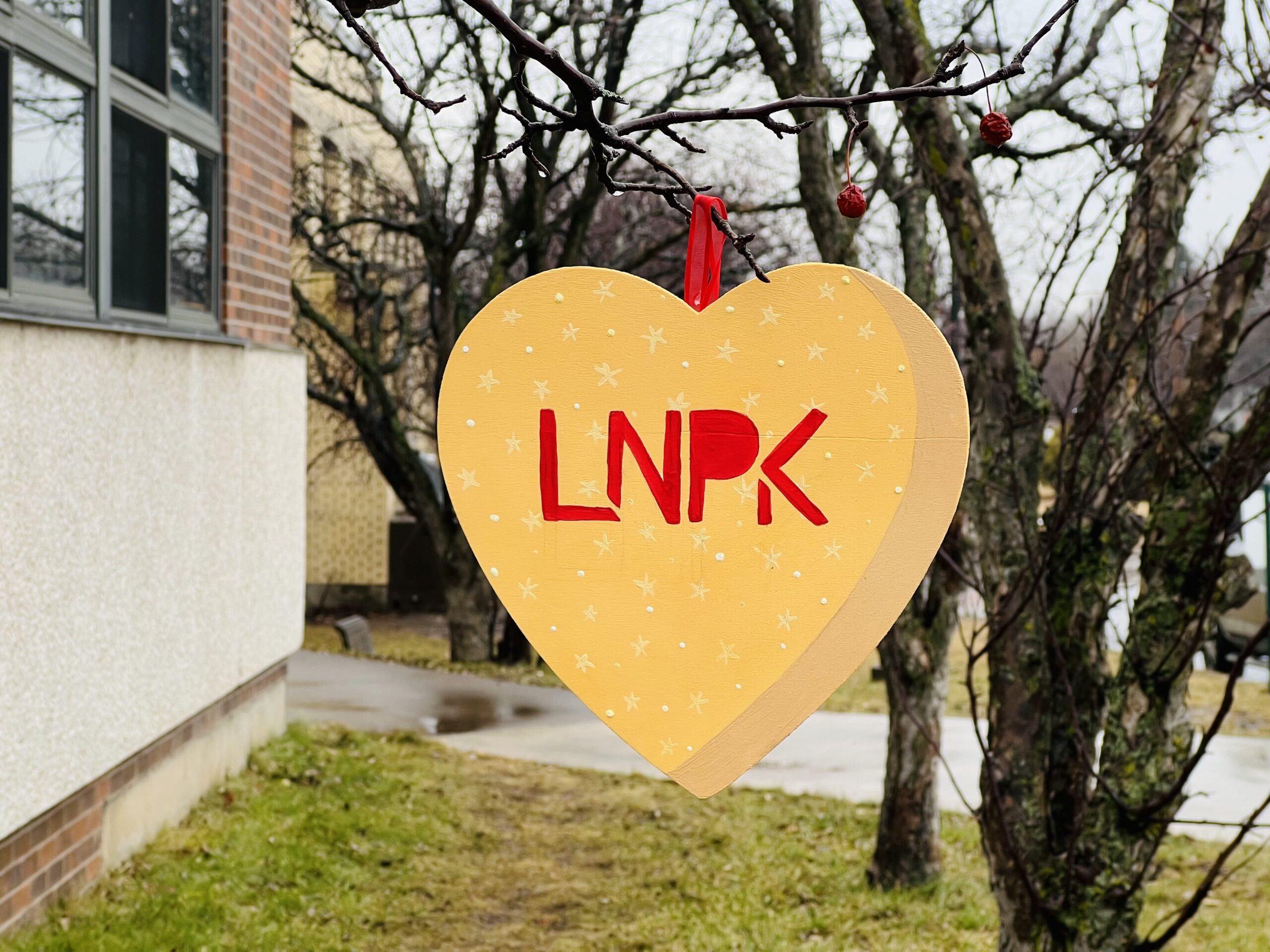 Light orange heart with yellow stars and "LNPK" in red hangs on a tree outside a brick building.