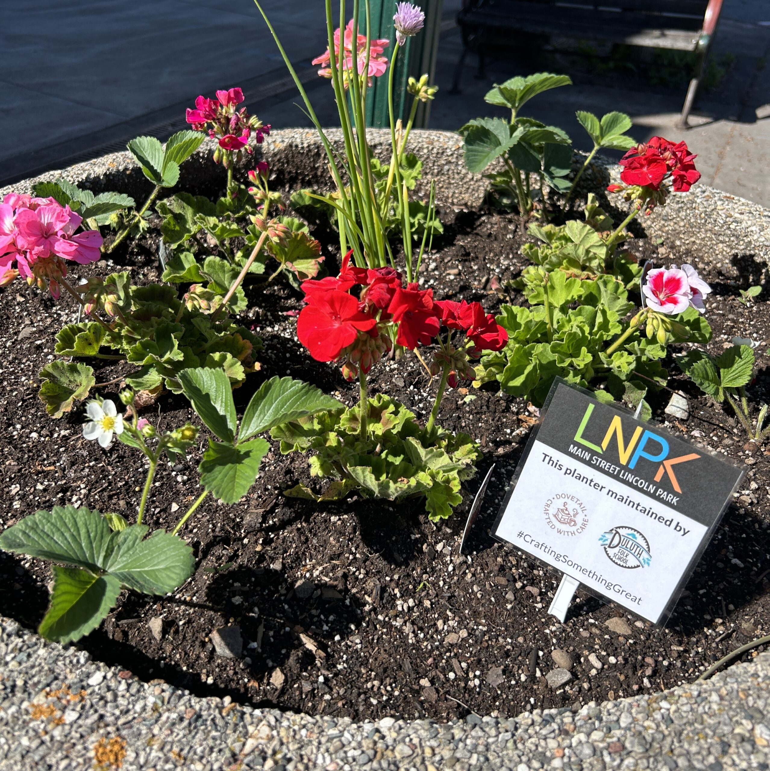 Planter by Dovetail Cafe & Duluth Folk School