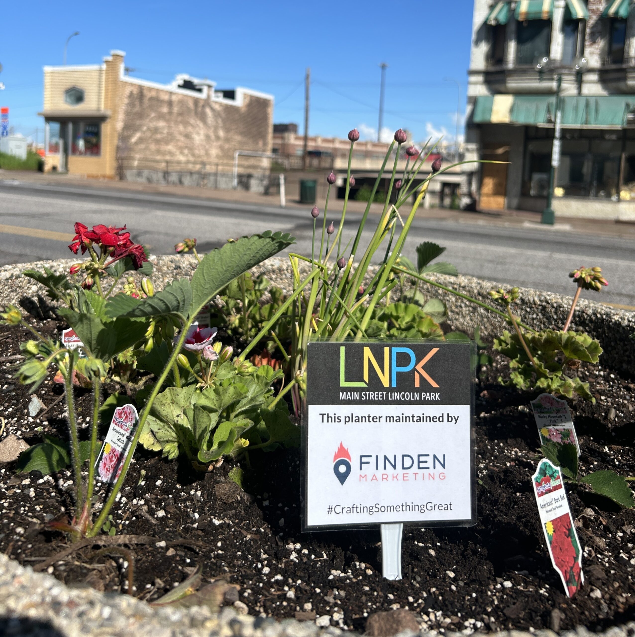 Planter by Finden Marketing