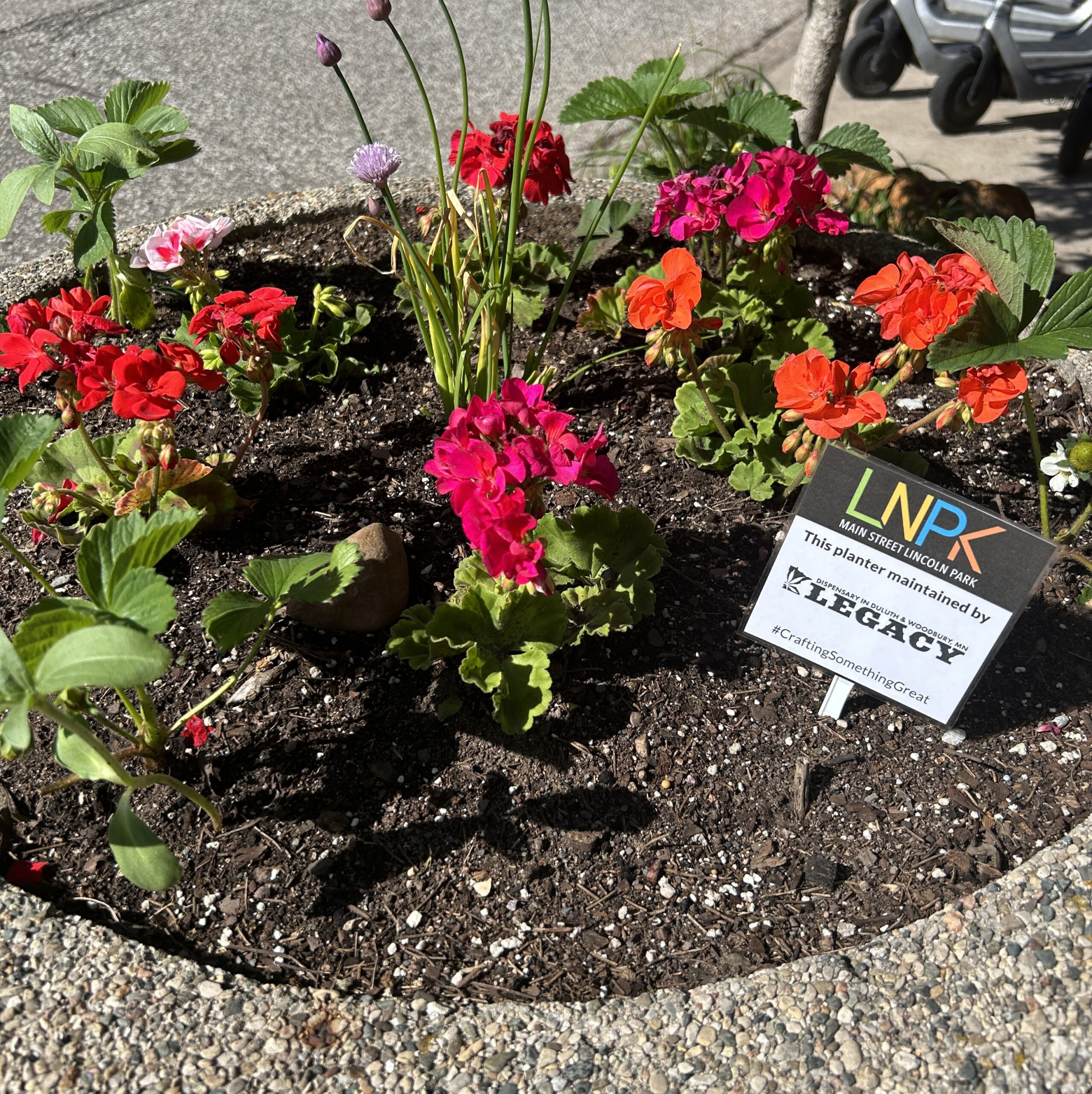 Planter by Legacy Glassworks