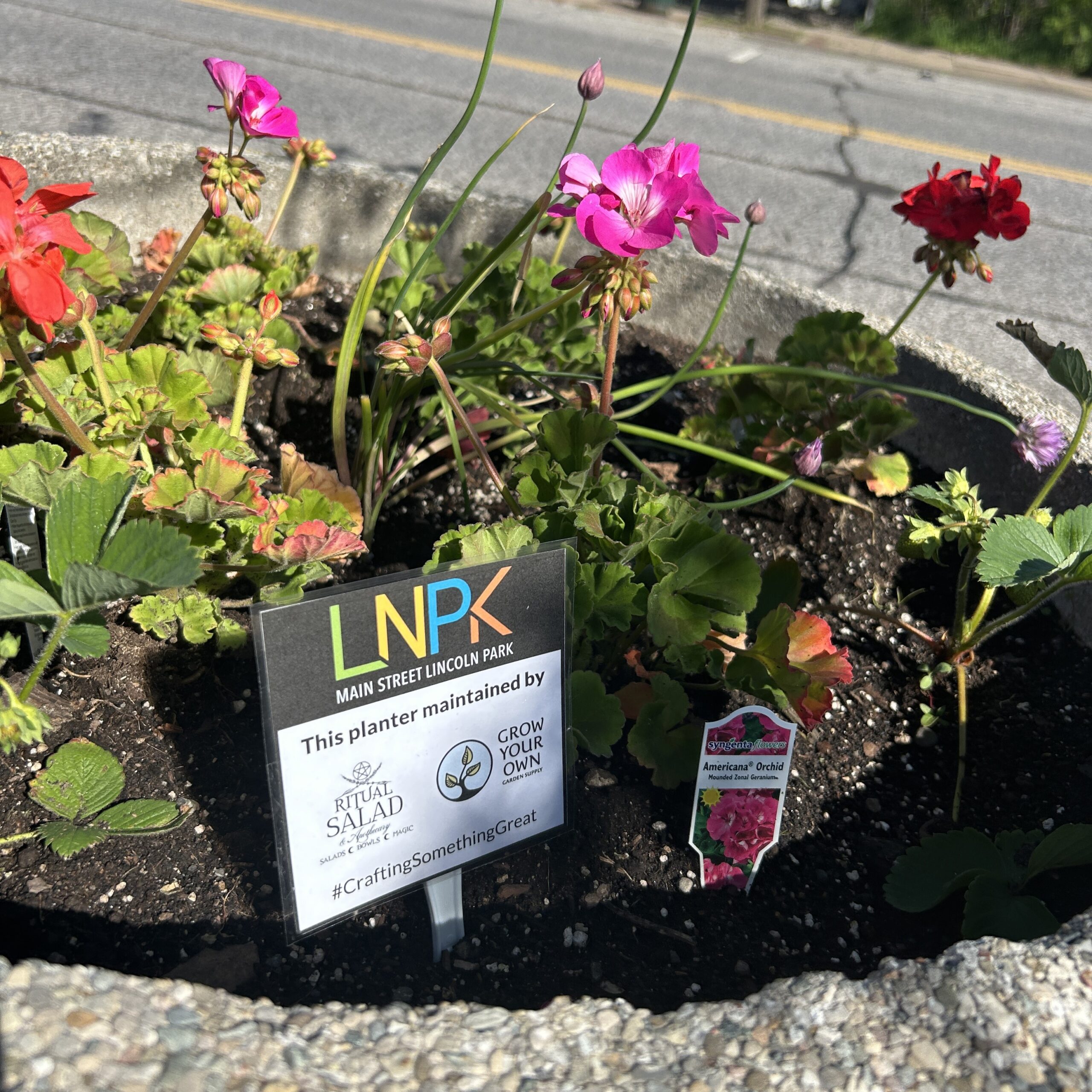 Planter by Ritual Salad & Grow Your Own