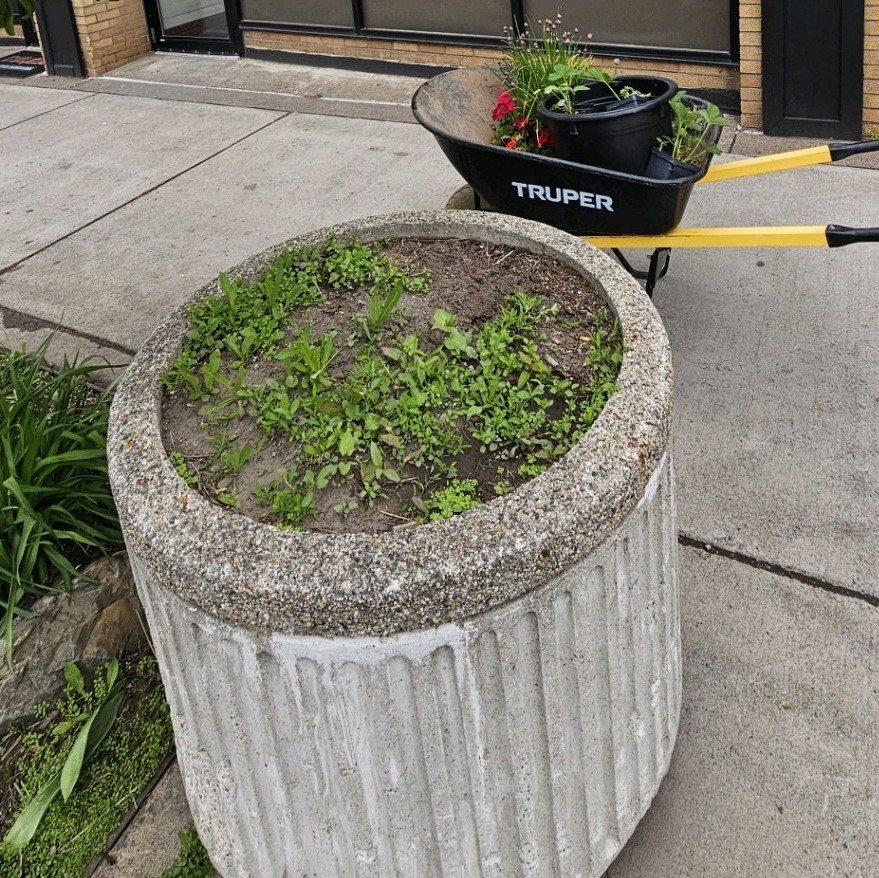 Before new flowers were planted