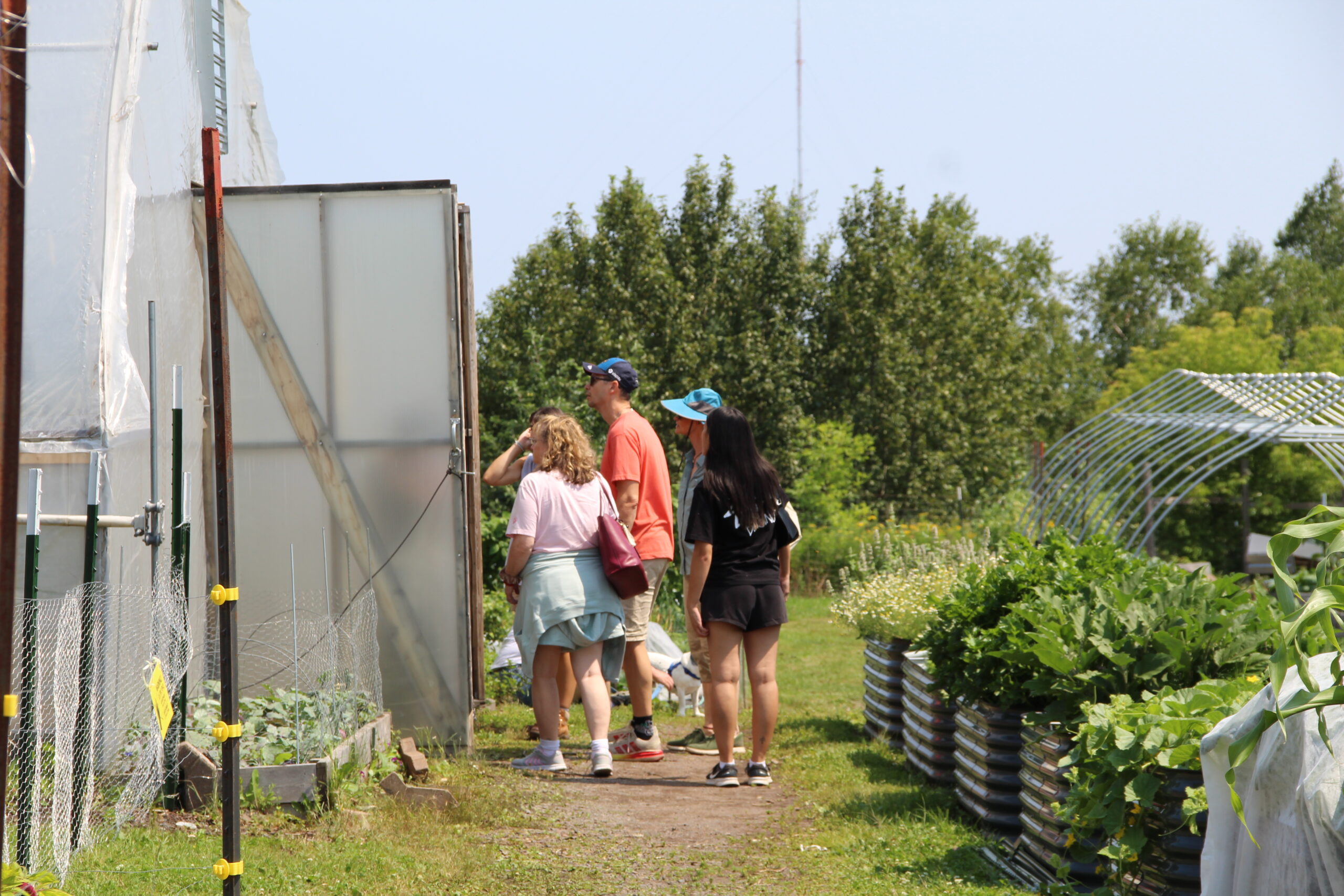 Three people walking into a high tunnel at a farm