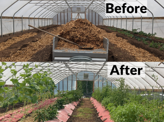 Two stacked images. Top text says "Before," over an image of high tunnel two being covered in wood chips. Bottom text says, "After," over an image of the same area during summer growing; tomatoes, peppers, and more grow tall and happy.